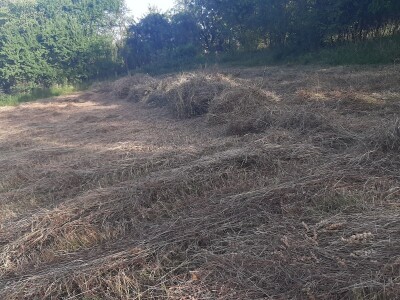Đubrenjem livada dobija se kvalitetnije seno