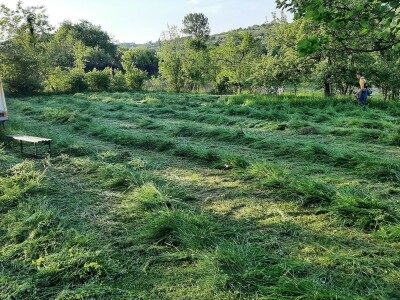 Đubrenjem livada dobija se kvalitetnije seno