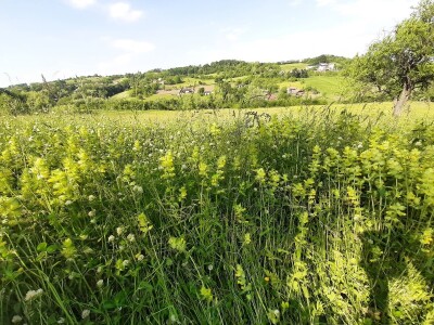 Đubrenjem livada dobija se kvalitetnije seno