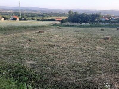 Đubrenjem livada dobija se kvalitetnije seno