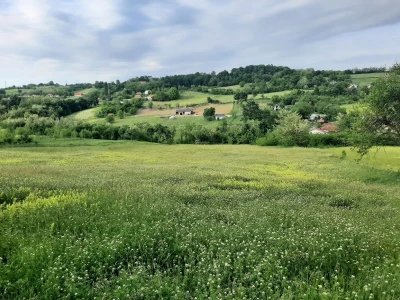 Đubrenjem livada dobija se kvalitetnije seno