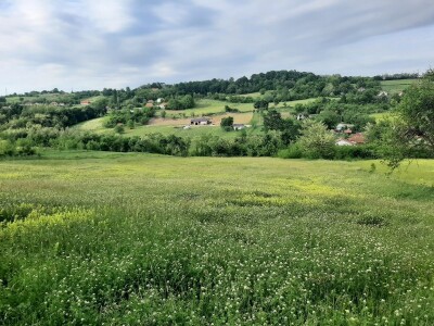 Đubrenjem livada dobija se kvalitetnije seno