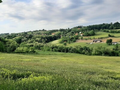 Đubrenjem livada dobija se kvalitetnije seno
