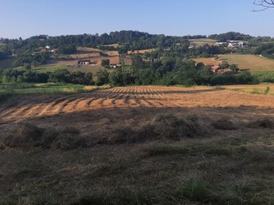 Đubrenjem livada dobija se kvalitetnije seno