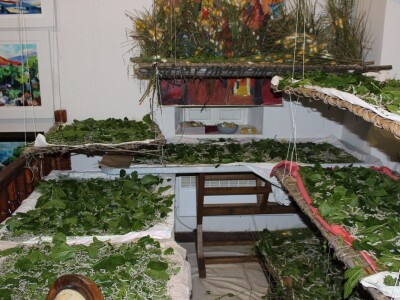 Dudov svilac kao kućni ljubimac