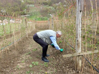 Malinjak Muniba Avdagića u Dugom Polju kod Srebrenice Malinjak Muniba Avdagića u Dugom Polju kod Srebrenice