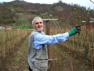 Malinjak Muniba Avdagića u Dugom Polju kod Srebrenice Malinjak Muniba Avdagića u Dugom Polju kod Srebrenice