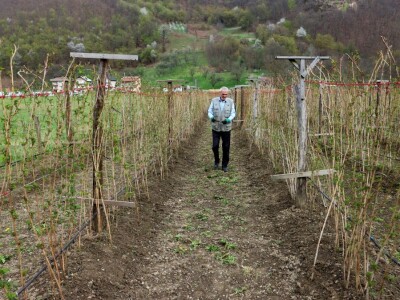 Malinjak Muniba Avdagića u Dugom Polju kod Srebrenice Malinjak Muniba Avdagića u Dugom Polju kod Srebrenice
