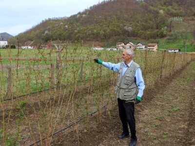 Malinjak Muniba Avdagića u Dugom Polju kod Srebrenice Malinjak Muniba Avdagića u Dugom Polju kod Srebrenice