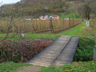Malinjak Muniba Avdagića u Dugom Polju kod Srebrenice Malinjak Muniba Avdagića u Dugom Polju kod Srebrenice