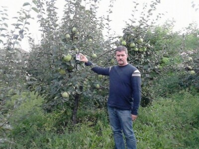 Uz mnogo rada do krupnih plodova