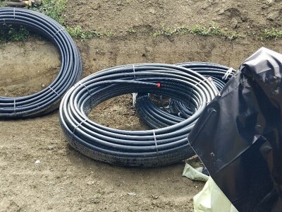 Dunje kod Steve Topića