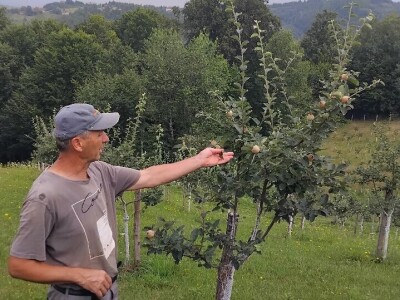 Dunje kod Steve Topića