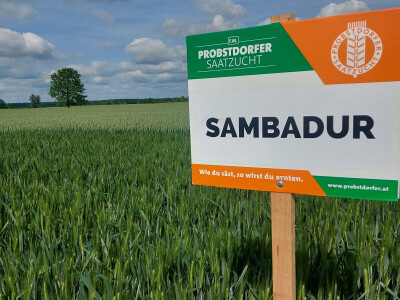 Durum pšenica tvrtke Mauthner