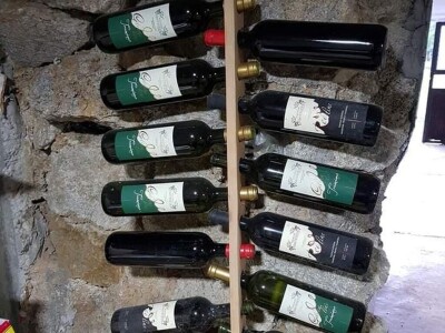 Dušan Dimitrijević od hobija napravio porodičnu vinariju