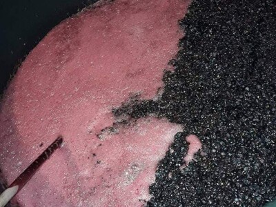 Dušan Dimitrijević od hobija napravio porodičnu vinariju