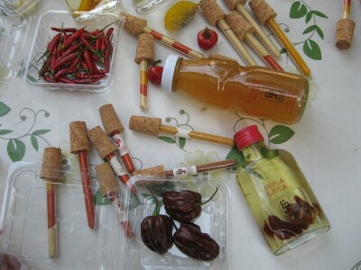 Dušan Vasić iz Topole posle devet godina u voćarstvu počeo da uzgaja i ljute papričice