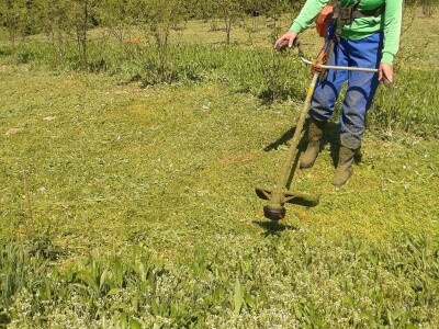 Dušanka Šurlan sa pekmezom od šipka pokrenula poslovnu ideju "Naše teglice" - i pobijedila Dušanka Šurlan sa pekmezom od šipka pokrenula poslovnu ideju "Naše teglice" - i pobijedila