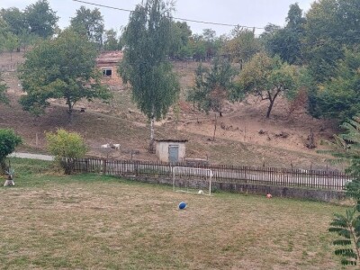 Duška i Aleksandar Radovanović