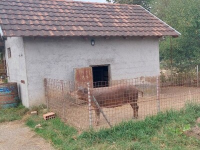 Duška i Aleksandar Radovanović