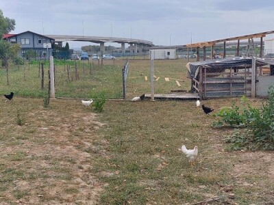 Duška i Aleksandar Radovanović