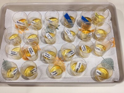 Dvije prijateljice dva načina sjetve i sadnje rajčice