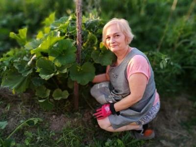 Dvije prijateljice dva načina sjetve i sadnje rajčice