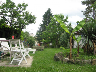 Istorijski dvorište