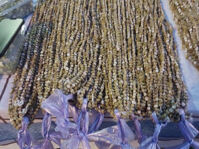 Džemal i njegova bamija: Italija ih zove, a motokultivator još sanjaju