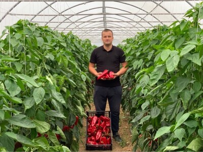 Dženan Bašić: U treći plastenik planiramo uzgajati jagodu po eko standardima