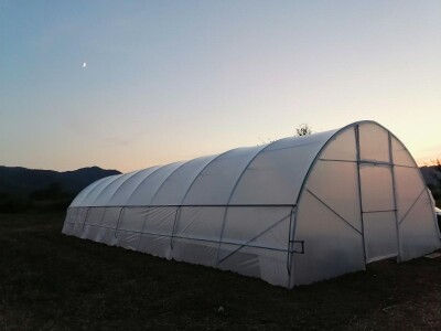 Dženan Bašić: U treći plastenik planiramo uzgajati jagodu po eko standardima