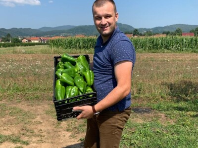 Dženan Bašić: U treći plastenik planiramo uzgajati jagodu po eko standardima