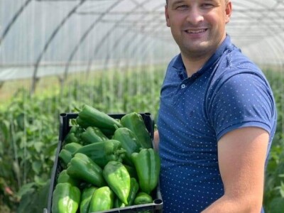 Dženan Bašić: U treći plastenik planiramo uzgajati jagodu po eko standardima