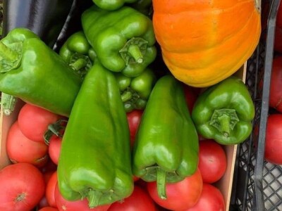 Dženan Bašić: U treći plastenik planiramo uzgajati jagodu po eko standardima