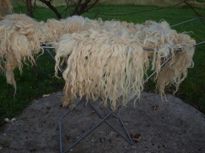 Od ovce do čarape Od ovce do čarape