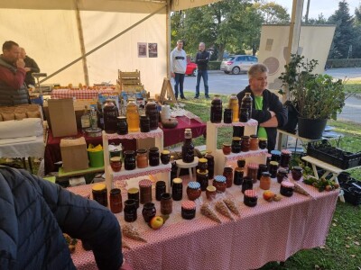 Izložba plodova starih sorti Cernik 2024