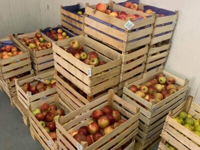 EBios.ba – bašte sa svježim proizvodima nikada nisu bile bliže EBios.ba – bašte sa svježim proizvodima nikada nisu bile bliže