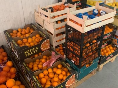 EBios.ba – bašte sa svježim proizvodima nikada nisu bile bliže EBios.ba – bašte sa svježim proizvodima nikada nisu bile bliže