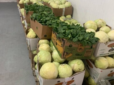 EBios.ba – bašte sa svježim proizvodima nikada nisu bile bliže EBios.ba – bašte sa svježim proizvodima nikada nisu bile bliže