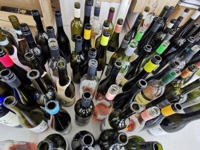 Eco Wine  Fest u Bedenici Eco Wine  Fest u Bedenici