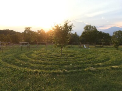 Ecovillage Design Education u Damanhuru 2018.