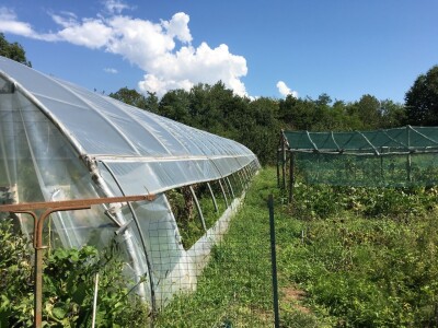 Ecovillage Design Education u Damanhuru 2018.