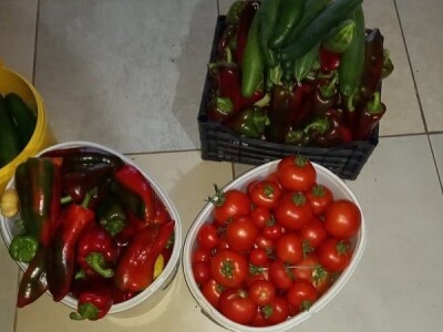 Edina Ćenanović: Pandemija je donijela probleme, ali i veću potražnju za domaćim proizvodima