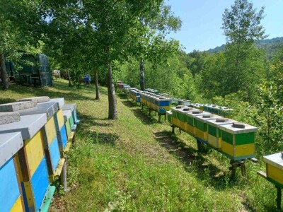 Edina Ćenanović: Pandemija je donijela probleme, ali i veću potražnju za domaćim proizvodima