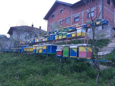 Edina Ćenanović: Pandemija je donijela probleme, ali i veću potražnju za domaćim proizvodima