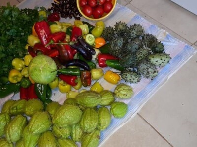 Edina Ćenanović: Pandemija je donijela probleme, ali i veću potražnju za domaćim proizvodima