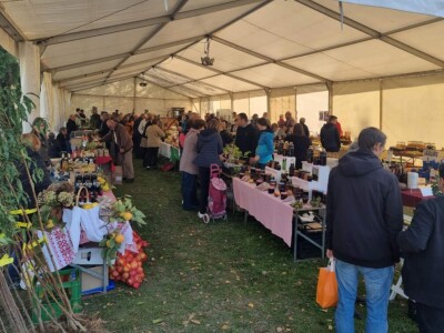 Izložba plodova starih sorti Cernik 2024