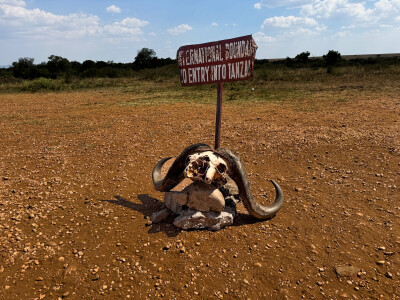 Agrarni novinari u Keniji