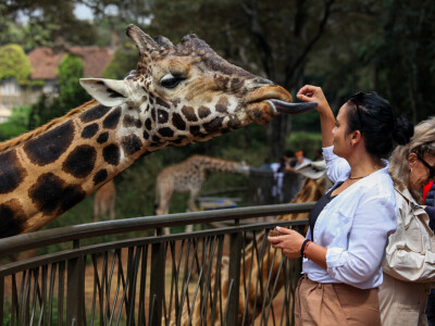 Agrarni novinari u Keniji