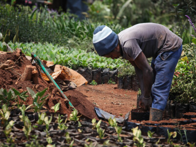 Agrarni novinari u Keniji